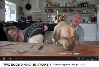 Chrsitmas dinner - click for the video...